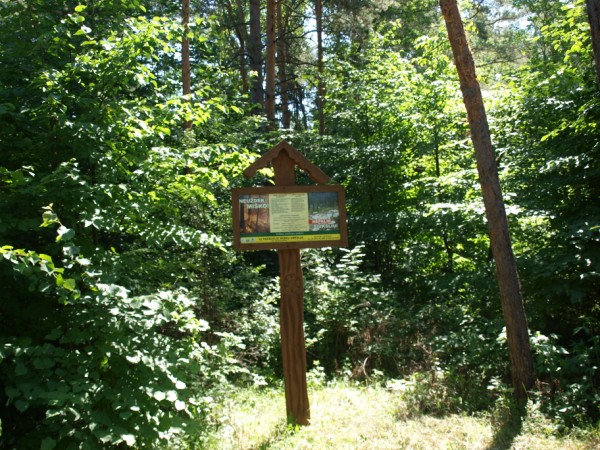 Rozalimo miško parkas ir pažinimo takas