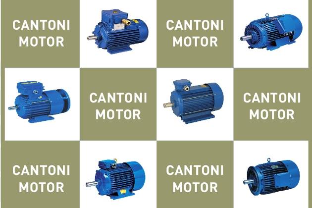 Cantoni Motor - elektros variklių gamybos lyderis
