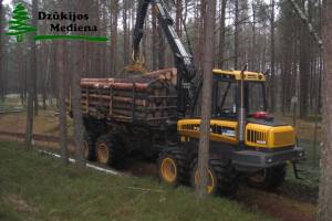 Perkame mišką su žeme, statų mišką iškirtimui, tvarkome mišką, ruošiame miškotvarkos projektus visoje Lietuvoje