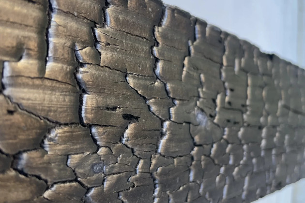 Deginta mediena atspari UV spinduliams, drėgmei, vandeniui ir netgi ugniai – DRAGONWOOD degintos medienos tradicijos iš Japonijos