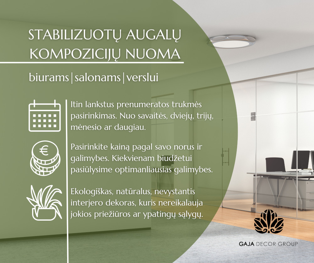 Gaja Decor Group stabilizuotų augalų prenumerata verslui