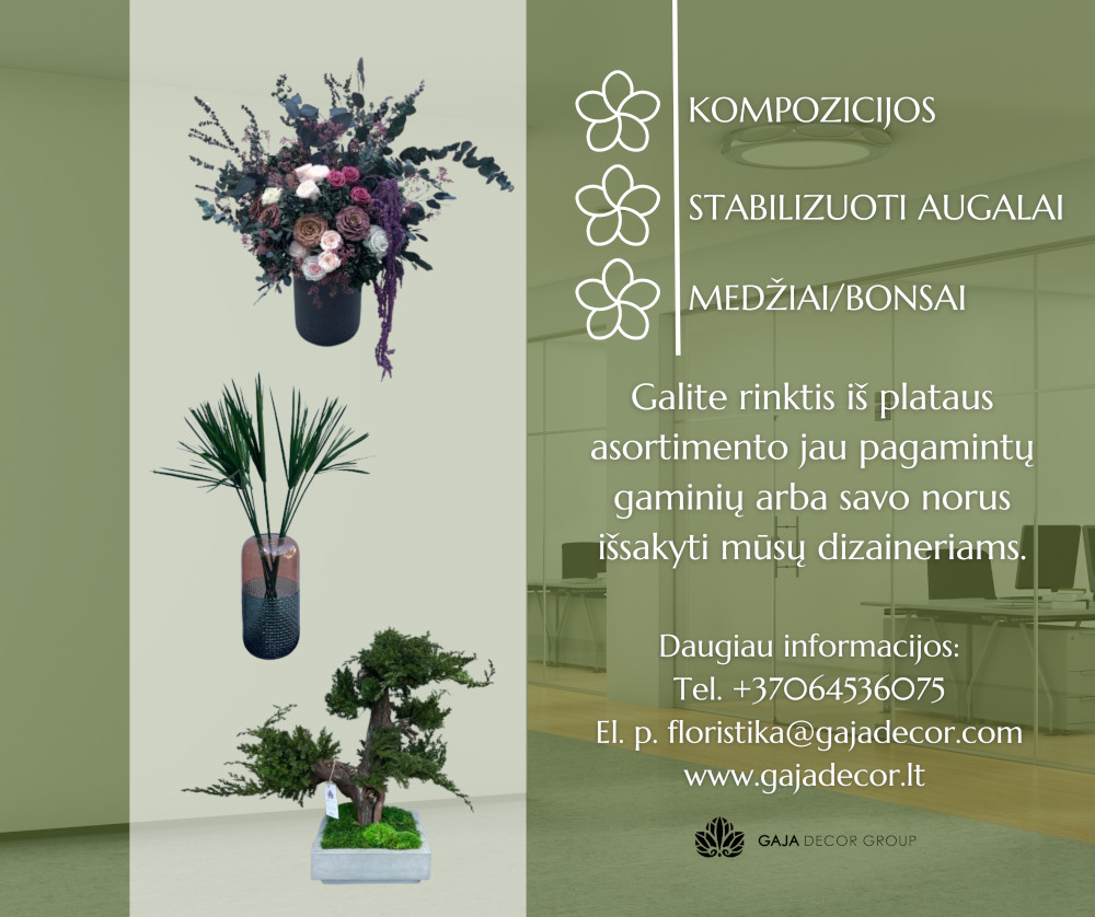 Gaja Decor Group stabilizuotų augalų prenumerata verslui