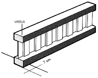 sijos-montazo-kryptis