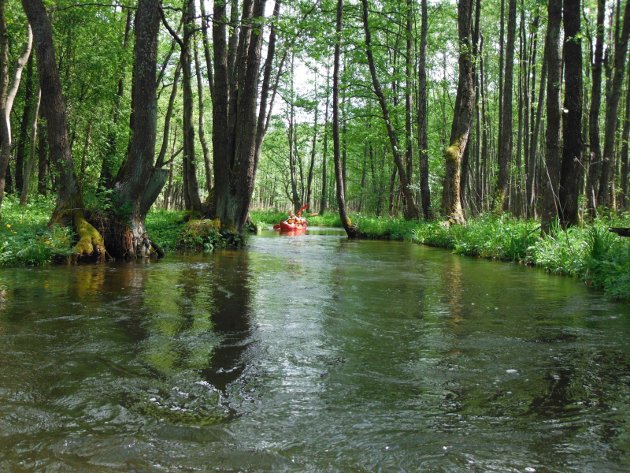 Baidarių nuoma pasiplaukiojimui Strėvos upe