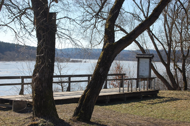 Turistinis, pažintinis maršrutas Daukšiagirė – Prienai 