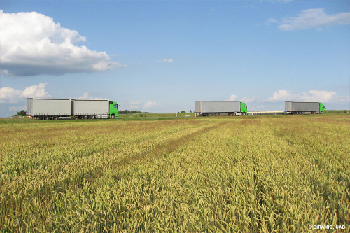 Tarptautinio krovinių vežimo, transporto ir logistikos paslaugos