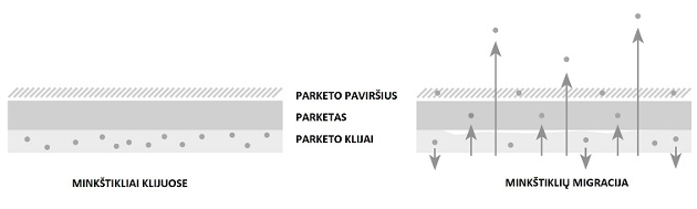 Klijai – nematoma kokybiškų grindų dalis