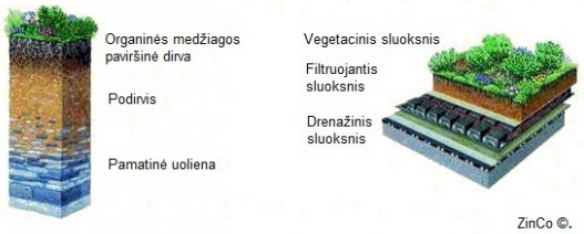 zalio-stogo-sistema1