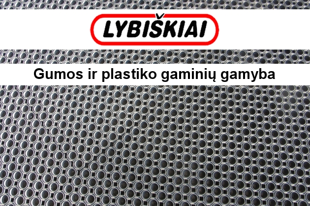 Gumos ir plastiko gaminiai, nestandartinių gumos ir plastiko gaminių gamyba