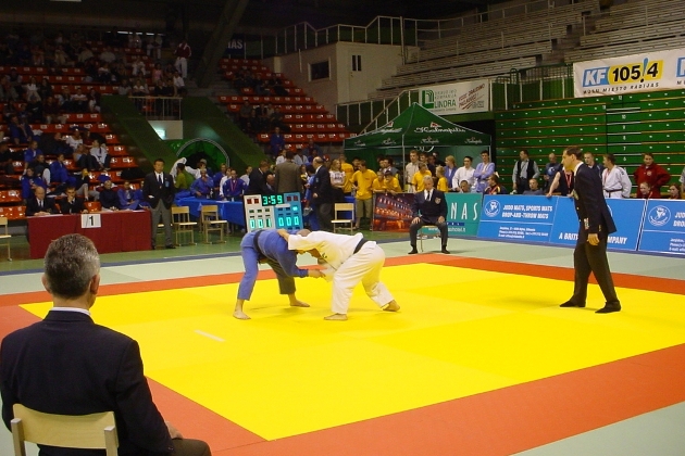 Čiužiniai sportui ir reabilitacijai. Sportinių čiužinių, tatamių gamyba