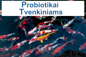 Probiotikai tvenkiniams