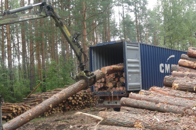 DZŪKIJOS MEDIENA, UAB - miško su žeme pirkimas, stataus miško pirkimas iškirtimui, miško tvarkymas, apvalioji mediena