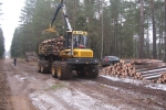 DZŪKIJOS MEDIENA, UAB - miško su žeme pirkimas, stataus miško pirkimas iškirtimui, miško tvarkymas, apvalioji mediena