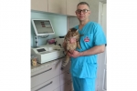 Lentvario veterinarijos klinika, MB - smulkiųjų gyvūnų veterinarijos klinika: gyvūnų ženklinimas, vakcinavimas, gydymas, chirurginės operacijos