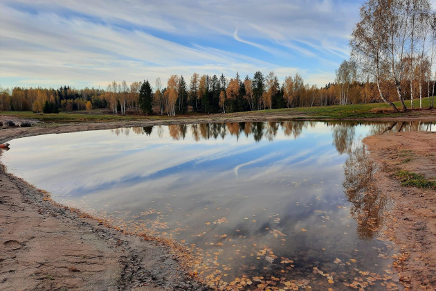 Fojus, UAB - tvenkinių kasimas, sklypų lyginimas, gerbūvio darbai, trumpastrėlio, ilgastrėlio ekskavatoriaus, savivarčio (Dumper) ir buldozerio nuoma