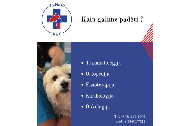 Veterinarijos klinika ir vaistinė VILNIUSVET (Žvėryno veterinarijos gydykla, UAB) - visos veterinarinės paslaugos Vilniuje: gyvūnų gydymas, vakcinacija, chirurgija, operacijos ir kitos profesionalios veterinarų paslaugos Jūsų augintiniams