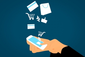 El. prekybos platforma ar elektroninė parduotuvė: ką rinktis?