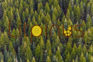 Miško atkūrimo projekto &quot;Stichinės nelaimės pažeistų miško plotų atkūrimas&quot; įgyvendinimas