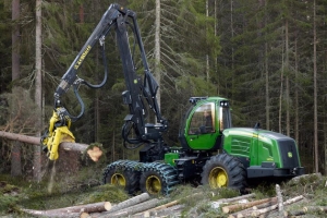 Miško tvarkymo darbai visoje Lietuvoje